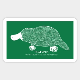 Platypus with Common and Latin Names - dark colors Magnet